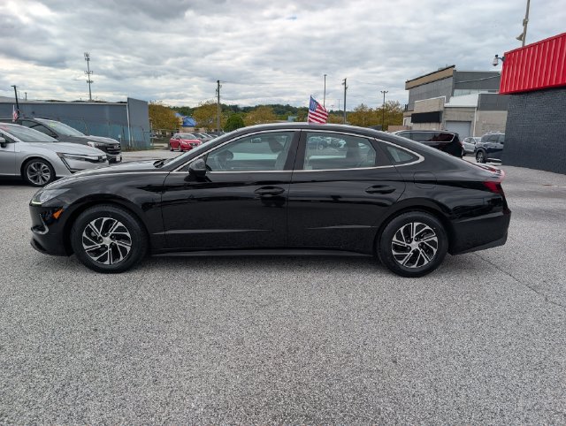 Used 2023 Hyundai Sonata Blue FWD image 2