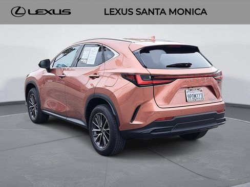 Used 2025 Lexus NX 350 AWD w/ Cold Area Package image 7