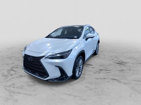 Used 2024 Lexus NX 350h AWD w/ Vision Package image 6