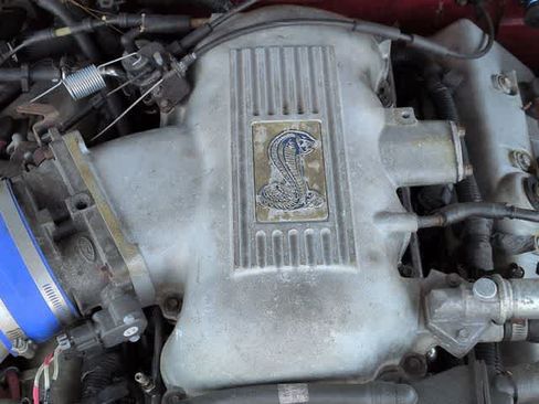 Used 1998 Ford Mustang Cobra RWD image 14