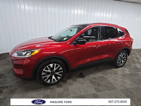 Used 2020 Ford Escape SE Sport image 6