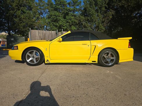 Used 2001 Ford Mustang Cobra RWD image 3
