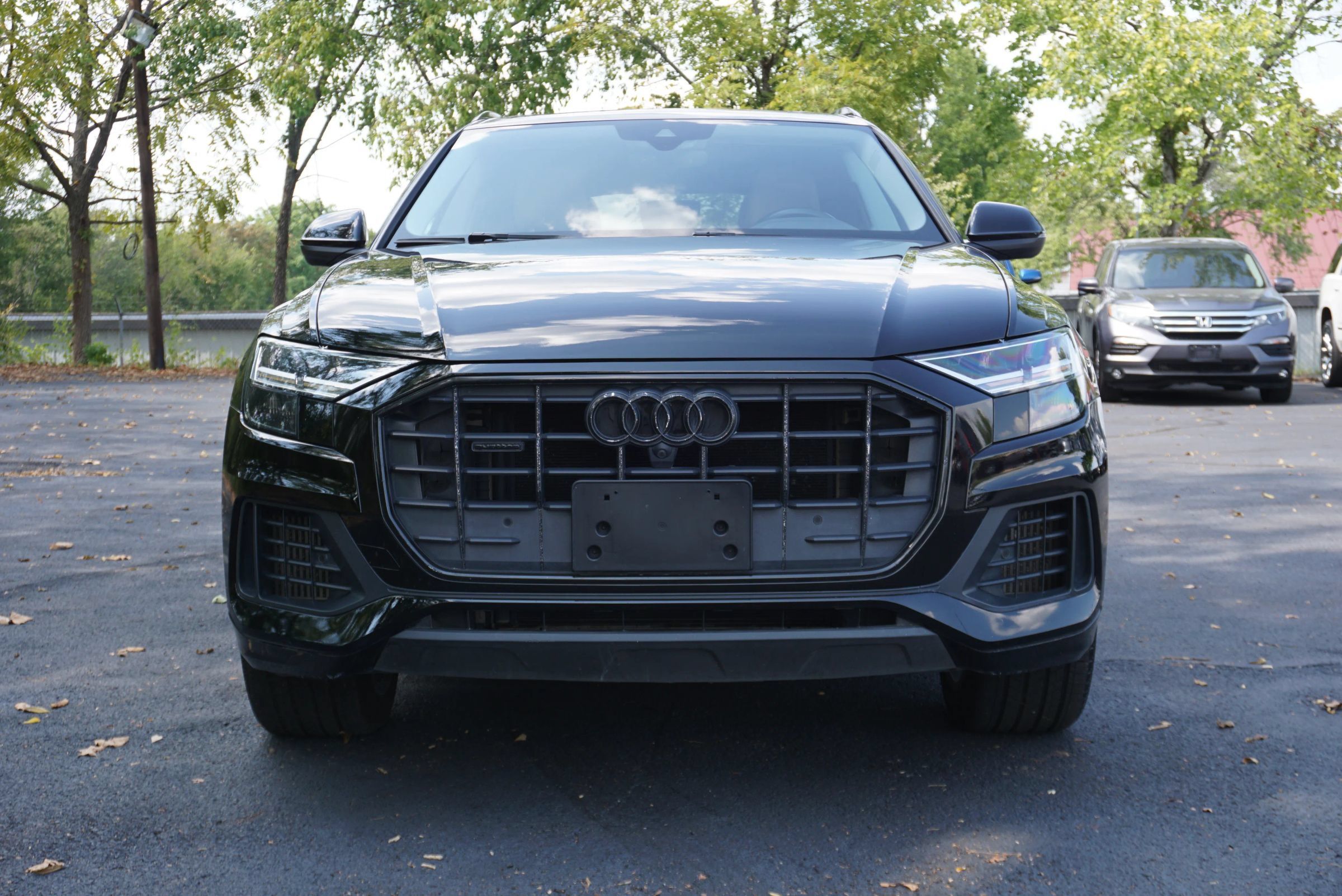 Used 2019 Audi Q8 Premium Plus w/ Premium Plus AWD/4WD image 2