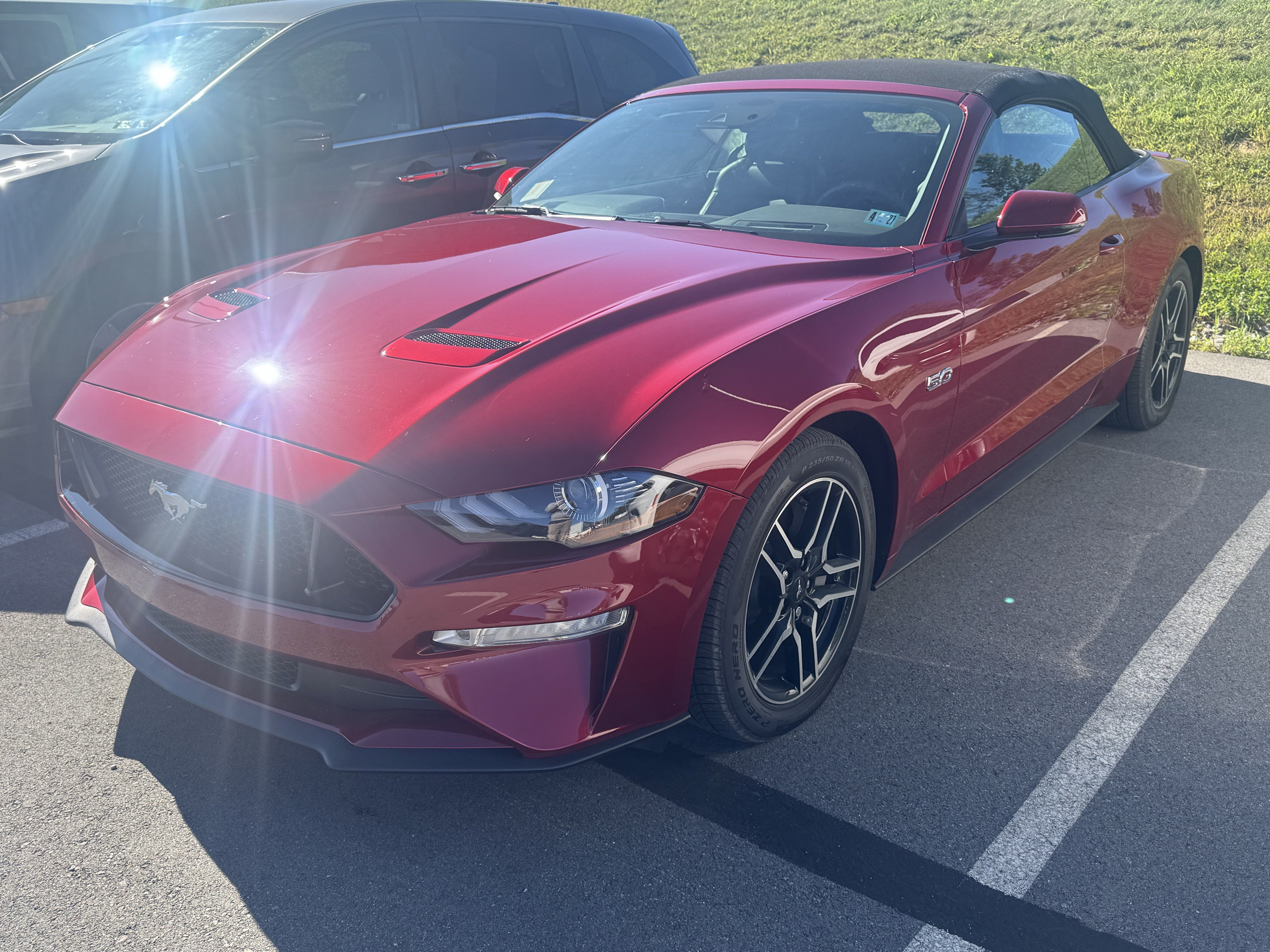 Used 2019 Ford Mustang GT Premium w/ Equipment Group 401A RWD image 3