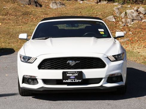 Used 2015 Ford Mustang Convertible w/ Equipment Group 051A image 5