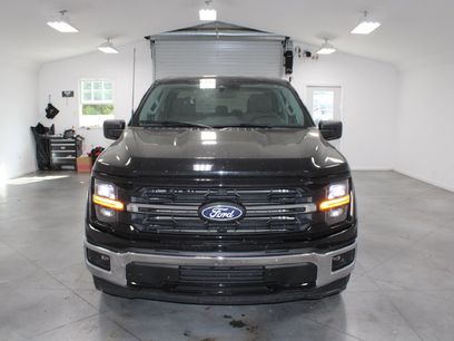 Used 2025 Ford F150 XLT w/ Equipment Group 301A Standard