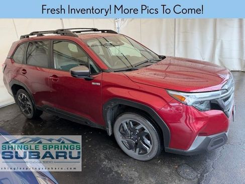 Used 2025 Subaru Forester Limited image 2