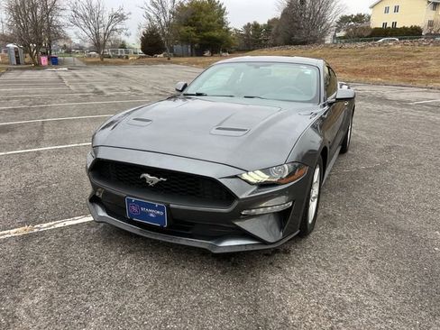 Used 2019 Ford Mustang Coupe image 4