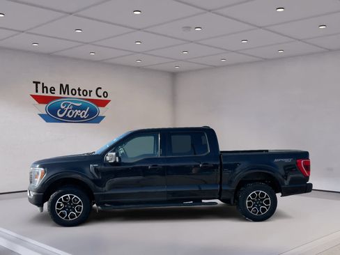 Used 2023 Ford F150 XLT w/ Equipment Group 302A High image 8