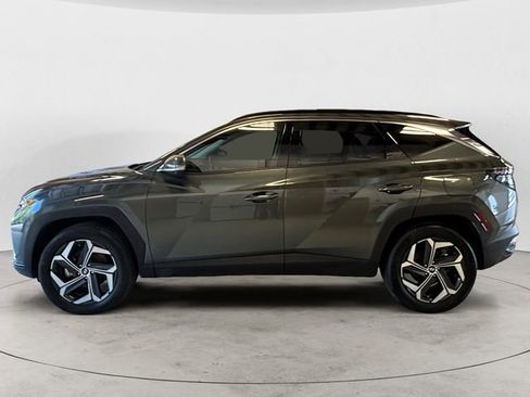Used 2024 Hyundai Tucson Limited AWD/4WD image 2