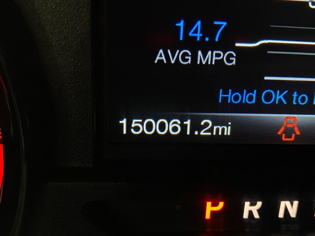 Used 2019 Ford F150 XLT w/ Equipment Group 302A Luxury AWD/4WD image 10