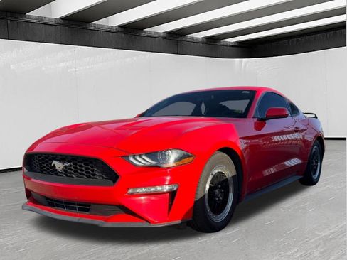 Used 2019 Ford Mustang Coupe RWD image 1