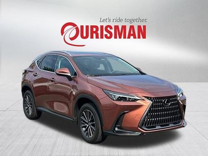 Used 2025 Lexus NX 350 AWD w/ Cold Area Package