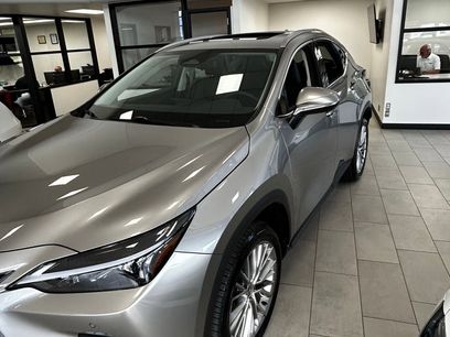 Used 2025 Lexus NX 350h AWD w/ Premium Package