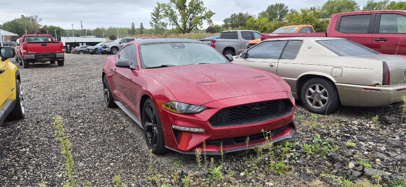 Used 2022 Ford Mustang Coupe w/ Equipment Group 101A RWD image 2