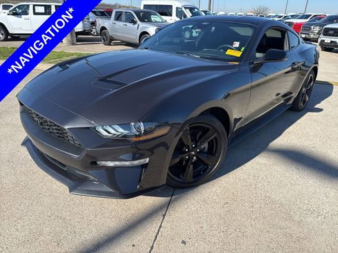 Used 2023 Ford Mustang Premium w/ Equipment Group 201A image 1