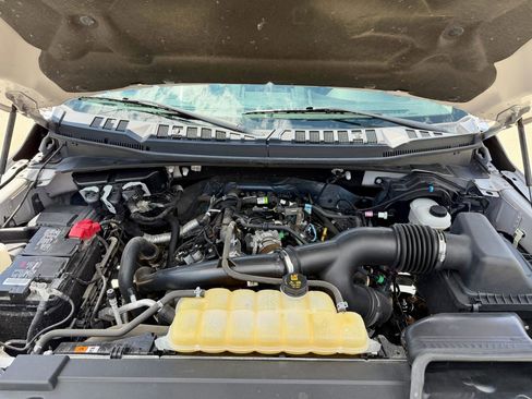 Used 2019 Ford F150 XLT w/ Equipment Group 302A Luxury AWD/4WD image 13