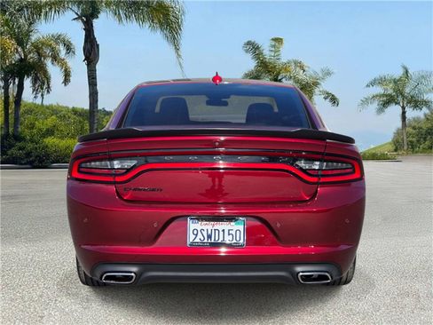 Used 2023 Dodge Charger SXT w/ Blacktop Package RWD image 5