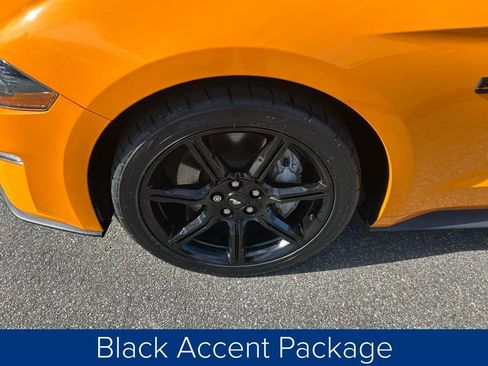 Used 2018 Ford Mustang GT Premium w/ Equipment Group 401A image 14