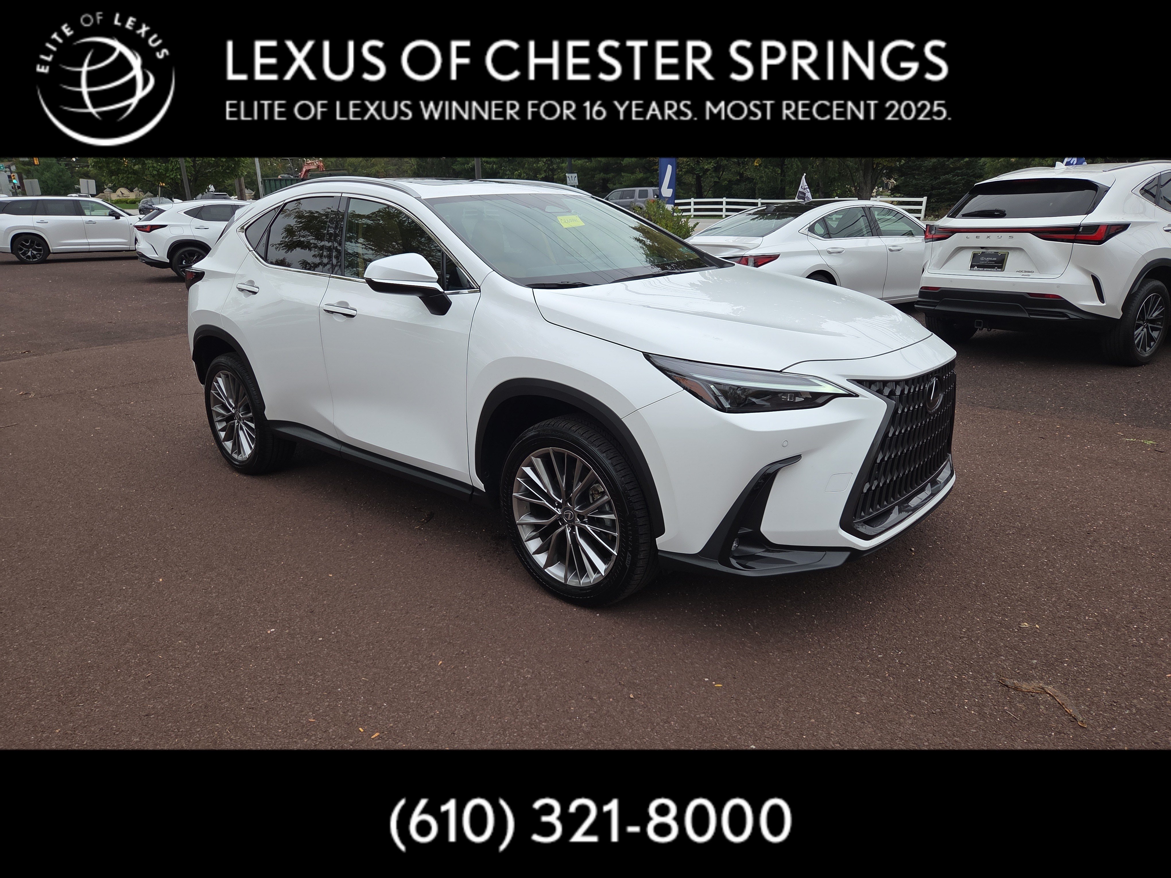 Certified 2026 Lexus NX 350h AWD w/ Cold Area Package image 1