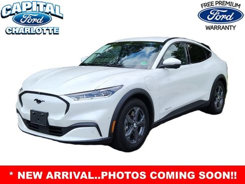 Used 2021 Ford Mustang Mach-E Premium RWD image 2