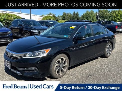 Used 2017 Honda Accord EX-L image 3
