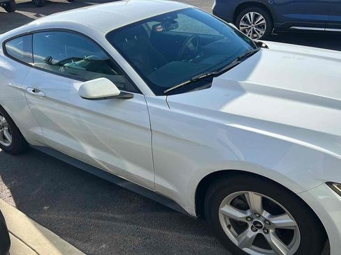 Used 2017 Ford Mustang Coupe image 1