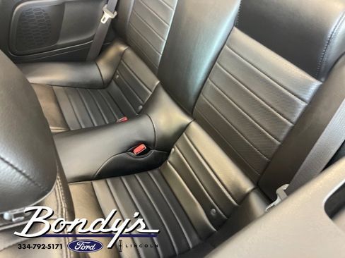 Used 2007 Ford Mustang Shelby GT500 image 14