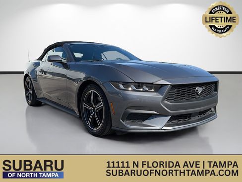 Used 2024 Ford Mustang Premium RWD image 1