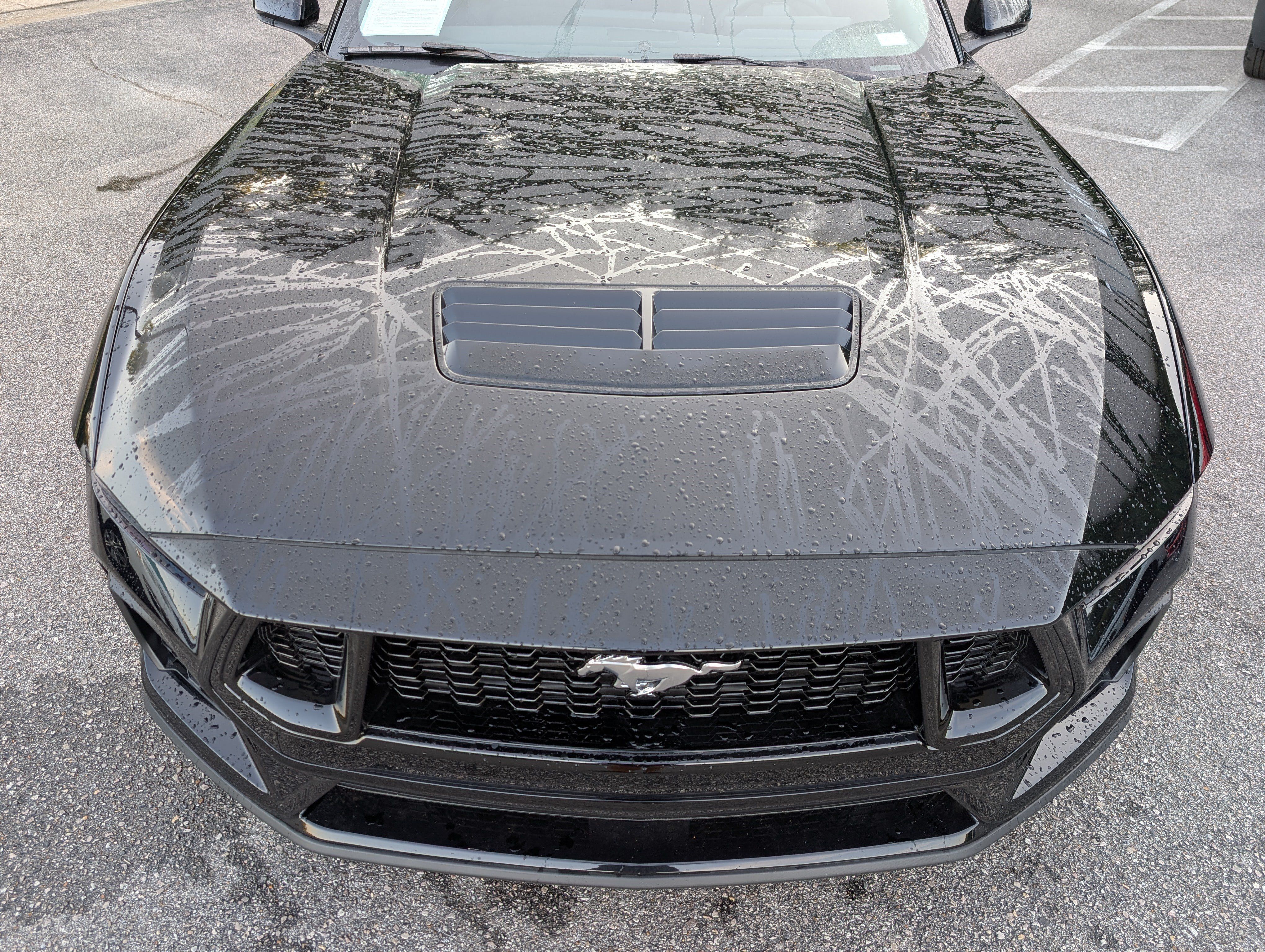 Used 2026 Ford Mustang GT RWD image 12
