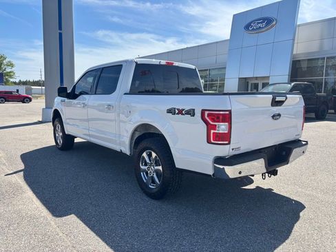 Used 2019 Ford F150 XLT w/ Equipment Group 302A Luxury AWD/4WD image 5