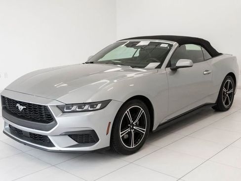 Used 2024 Ford Mustang Premium image 8