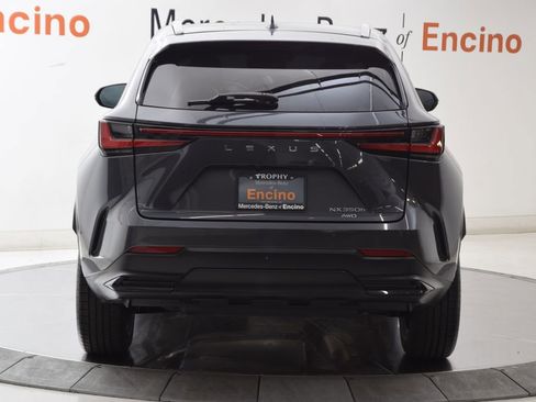 Used 2025 Lexus NX 350h AWD w/ Cold Area Package image 5