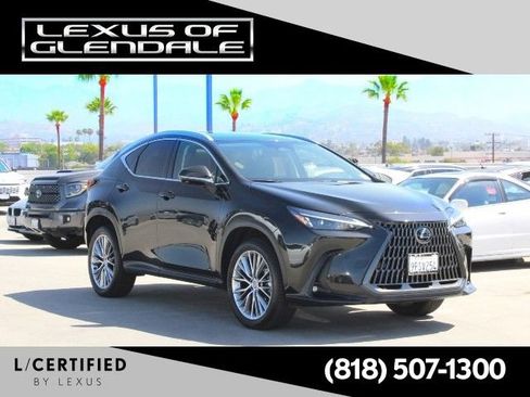 Certified 2025 Lexus NX 350h AWD w/ Cold Area Package image 1