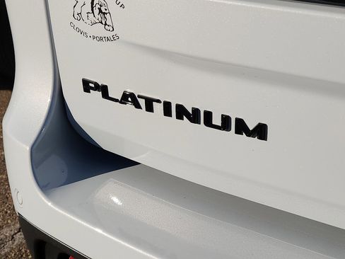 New 2025 Ford Expedition Platinum w/ Stealth Appearance Package image 6