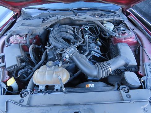 Used 2015 Ford Mustang Convertible w/ Equipment Group 051A image 13