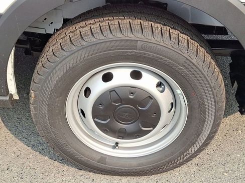 New 2025 Ford Transit 250 148 Medium Roof w/ Load Area Protection Package image 5