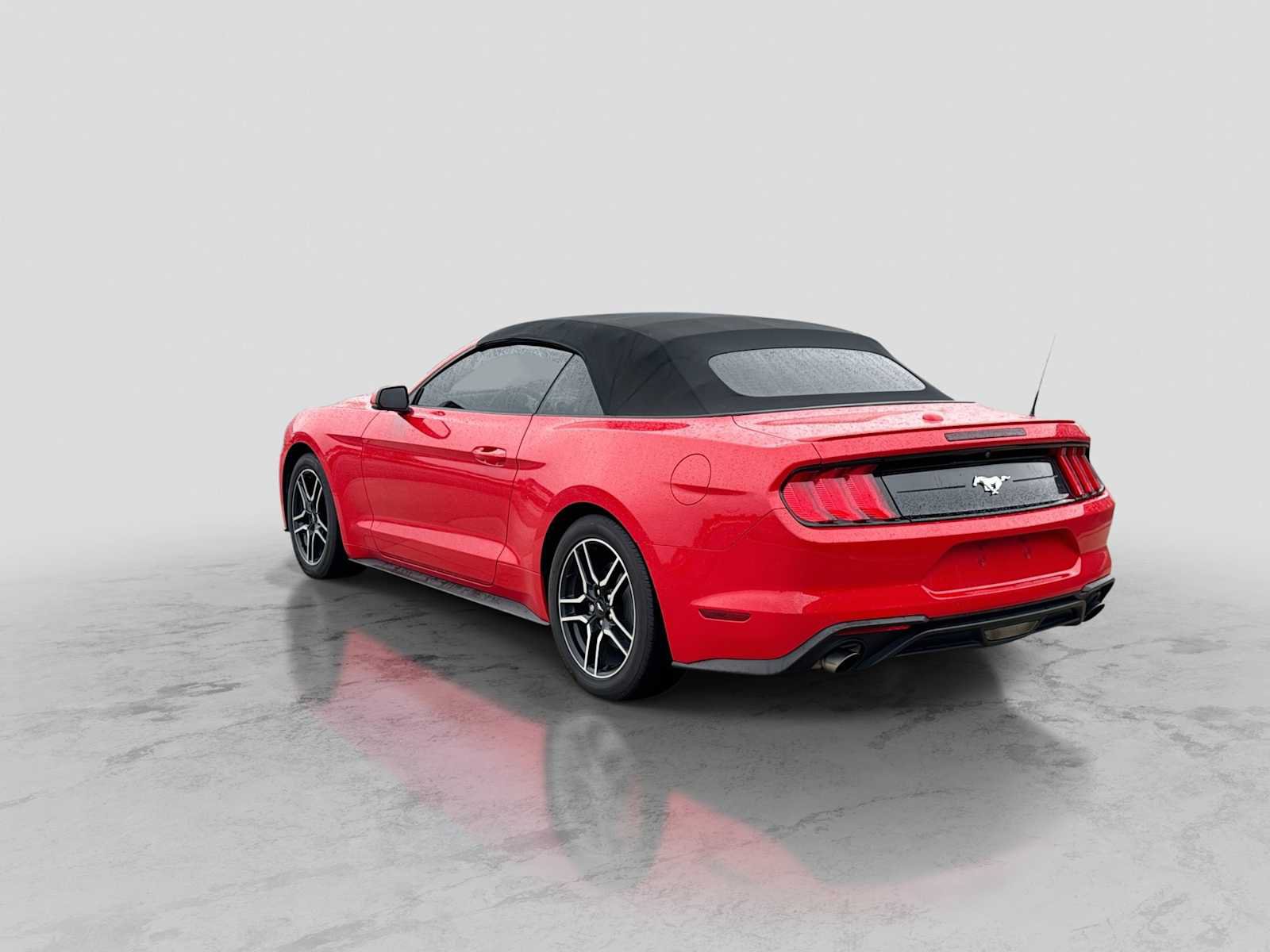 Used 2019 Ford Mustang Premium w/ Equipment Group 201A RWD image 4