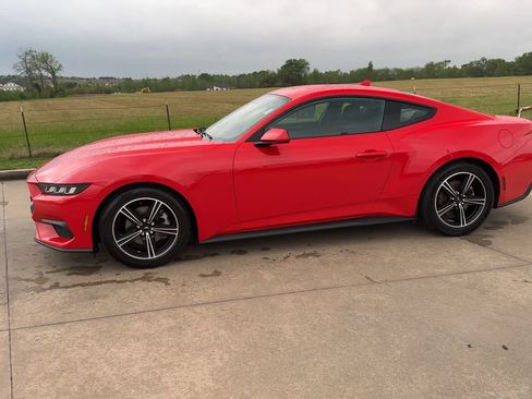 Used 2024 Ford Mustang Coupe image 5