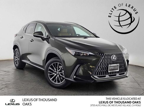 Certified 2026 Lexus NX 350 AWD w/ Cold Area Package image 1