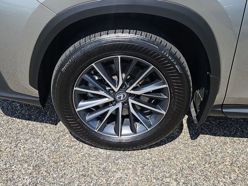 Used 2024 Lexus NX 350 AWD w/ Cold Area Package image 7