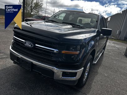 Used 2025 Ford F150 XLT w/ Equipment Group 301A Standard