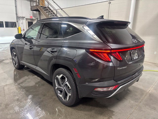 Used 2023 Hyundai Tucson Limited AWD/4WD image 5