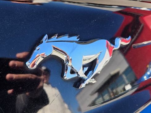 Used 2021 Ford Mustang Premium w/ Equipment Group 201A image 11