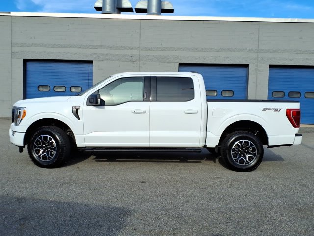Used 2023 Ford F150 XLT w/ Equipment Group 302A High AWD/4WD image 2