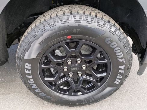 Certified 2026 Ford F150 XLT w/ XLT Black Appearance Package image 11