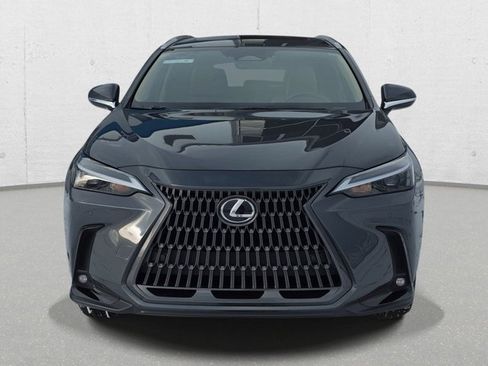 Certified 2025 Lexus NX 350 350h Base w/ Cold Area Package image 2