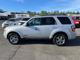 Used 2008 Ford Escape Limited image 2
