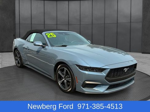 Used 2025 Ford Mustang Premium RWD image 3