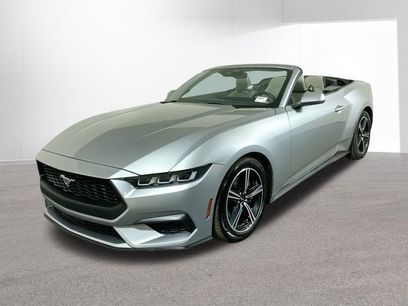 Used 2024 Ford Mustang Premium